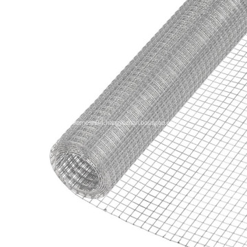 Galvanized Welded Wire Mesh